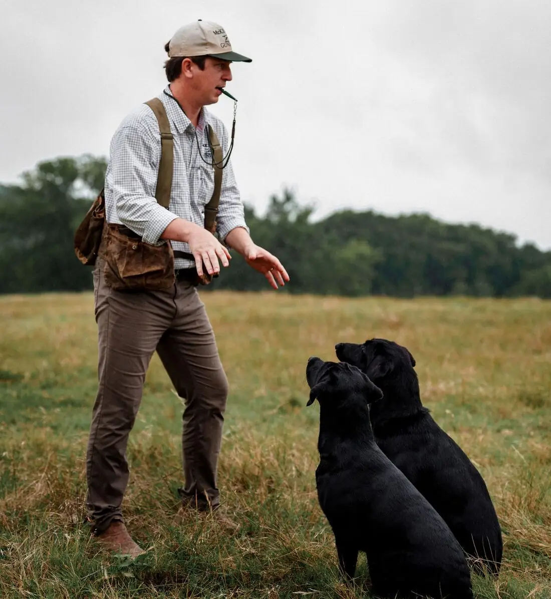 Cole McKinney working two black Labradors in an open field